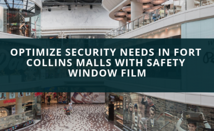 fort collins mall security window film
