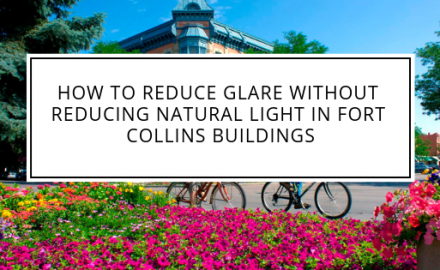 glare reduction window film fort collins