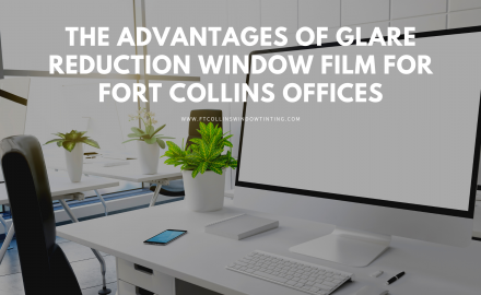 glare reduction window film ft collins offices