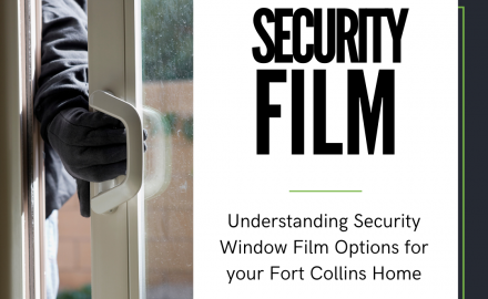 security window film options fort collins