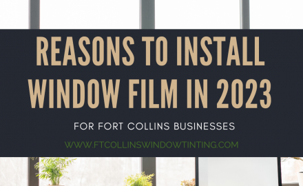 window film 2023 fort collins business